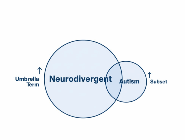 Neurodivergent vs Autism