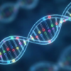 What percentage of autism is genetic