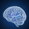 Autism and Seizures