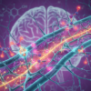 Folate Deficiency and Autism