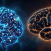 autism brain vs normal