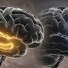 autism and memory