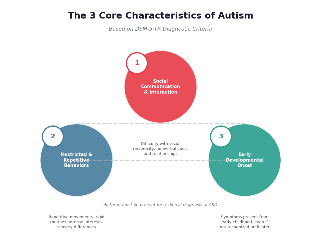 3 Main Characteristics of Autism