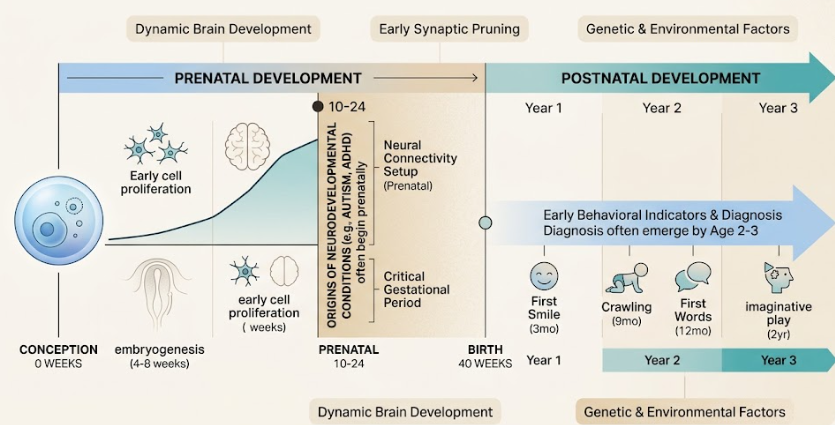 is autism a neurodevelopmental disorder