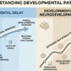 is autism a developmental delay